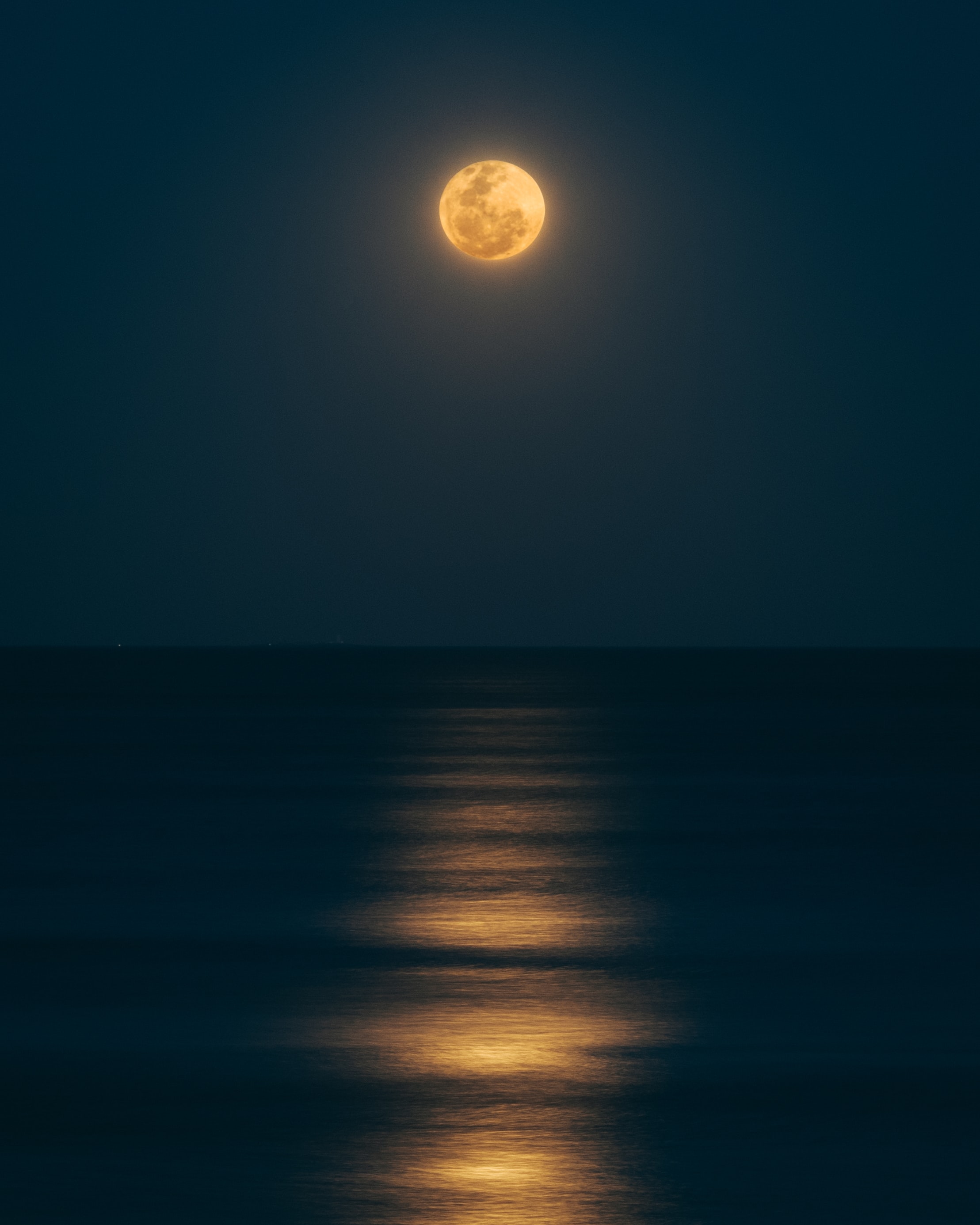 秋 の 夜長