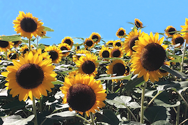 横浜南部の物件