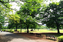 清澄・門前仲町・東陽町の物件