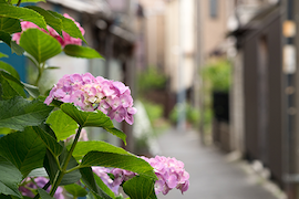 湯島・谷根千・駒込の物件
