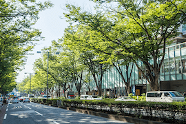 青山・赤坂・六本木の物件