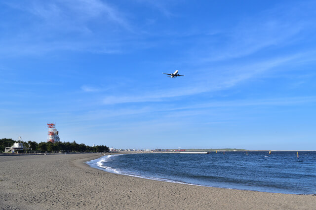 城南島海浜公園の上を飛ぶ飛行機