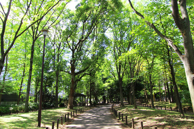 戸山公園