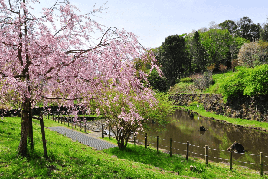 神奈川県立茅ヶ崎里山公園